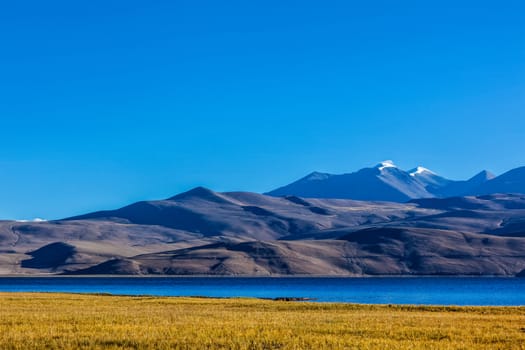 Himalayan lake Tso Moriri on sunrise, Korzok, Ladakh, India