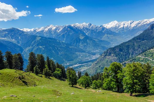 Spring meadow in Kullu valley in Himalaya mountains. Himachal Pradesh, India