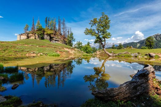 Scenic Indian Himalayan landscape scenery in Himalayas with tree and small lake. Himachal Pradesh, India