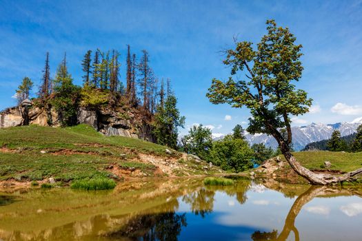 Scenic Indian Himalayan landscape scenery in Himalayas with tree and small lake. Himachal Pradesh, India