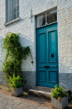 Brugge door with a plant and window of an old Eurupean house. Bruges, Belgium