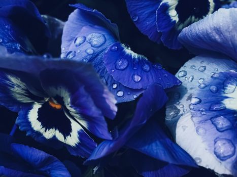 Blue flower on dark background, floral and nature concept