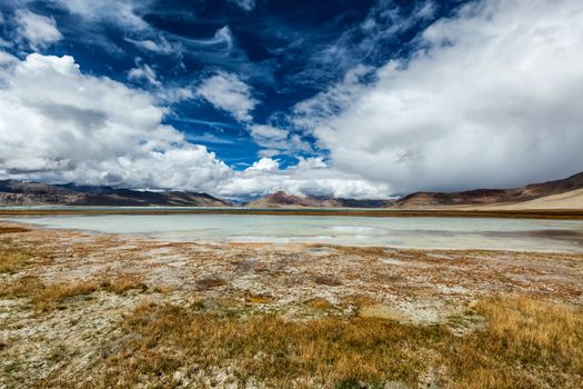 Himalayan scenic landscape scenery near Tso Kar - fluctuating salt lake in Himalayas. Rapshu, Ladakh, Jammu and Kashmir, India