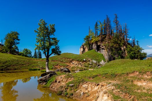 Scenic Indian Himalayan landscape scenery in Himalayas with tree and small lake. Himachal Pradesh, India