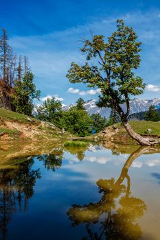 Scenic Indian Himalayan landscape scenery in Himalayas with tree and small lake. Near Manali, above Kullu Valley, Himachal Pradesh, India