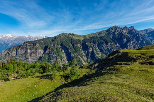 Spring meadow in Kullu valley in Himalaya mountains. Himachal Pradesh, India