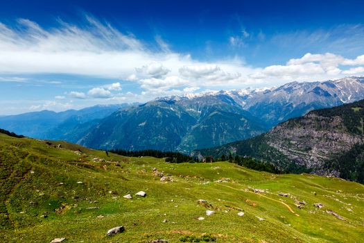 Spring meadow in Kullu valley in Himalaya mountains. Himachal Pradesh, India