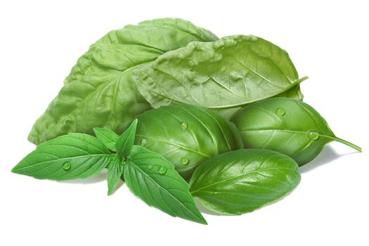 Basil leaves grouped together, different cultivars. Separate clipping paths for both leaves and shadow, infinite depth of field
