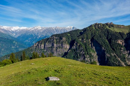 Spring meadow in Kullu valley in Himalaya mountains. Himachal Pradesh, India