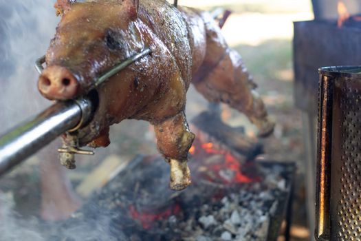 Roast pig on a spit. Pig cooking in Germany.