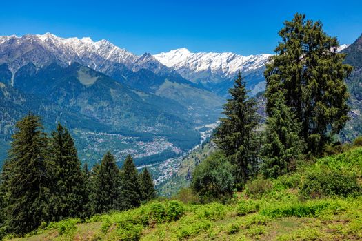 Spring meadow in Kullu valley in Himalaya mountains. Himachal Pradesh, India