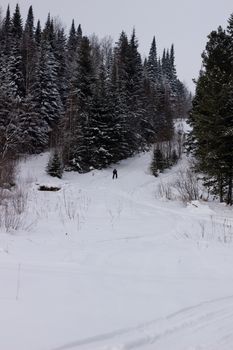 Woman cross country skier in forest on a sunny day.