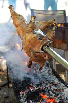 Roast pig on a spit. Pig cooking in Germany.