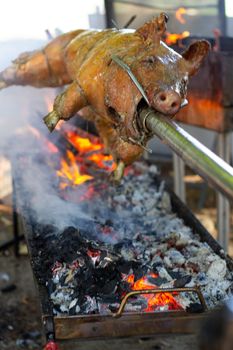 Roast pig on a spit. Pig cooking in Germany.