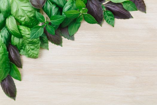 Heirloom basil on wooden table, many cultivars including Genovese, Holy Basil, spice globe. Flat lay, above view