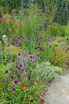 Detail of a flower border with Achillea, Allium and Grasses