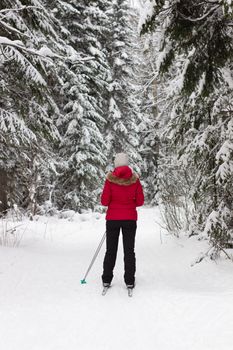 Woman cross country skier in forest on a sunny day.