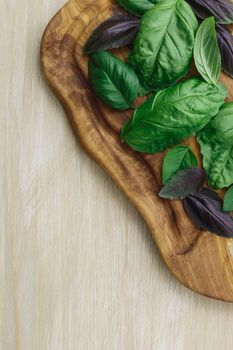 Heirloom basil on olive wood cutboard. The cultivars including Genovese, Holy Basil, spice globe. Flat lay, above view