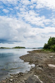 Landscape by the river against the backdrop of the forest on a summer day.