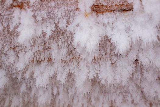 Snow crystals on a wooden wall and a light bulb