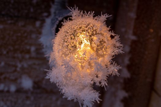 Snow crystals on a wooden wall and a light bulb