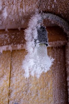 Snow crystals on a wooden wall and a light bulb