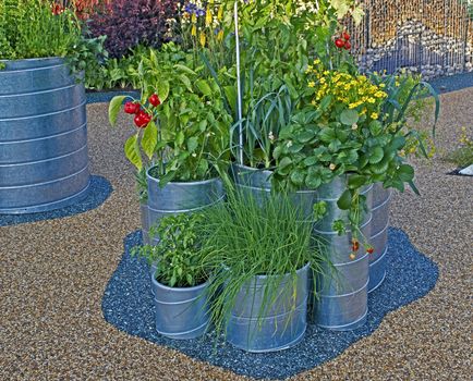 Vegetables, herbs and fruit growing in modern  containers on an urban  garden patio