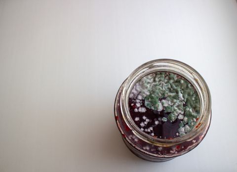 Mold in a jar of jam. Hazardous to health. Mold