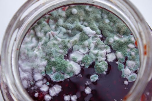 Mold in a jar of jam. Hazardous to health. Mold
