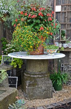 A container of flowering Fuchsias and decorated with reclamation furniture and accessories