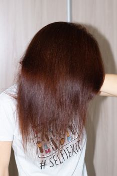 Women's hair color of chestnut. Long female hair