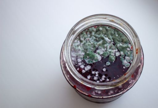 Mold in a jar of jam. Hazardous to health. Mold