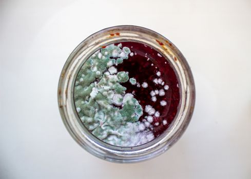 Mold in a jar of jam. Hazardous to health. Mold