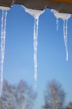 Icicles against the background of the blue sky.