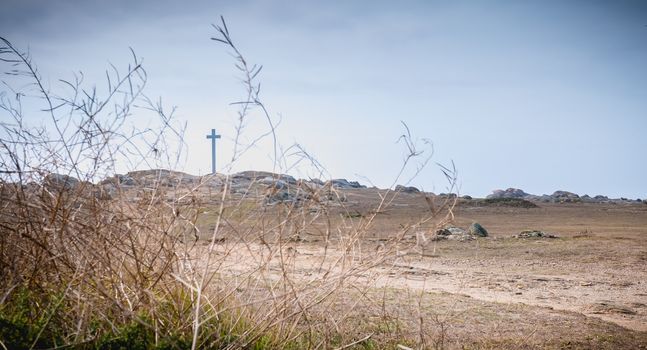 view of the wild vegetation of the cross of the tip of Chatelet on the island of Yeu, France in summer