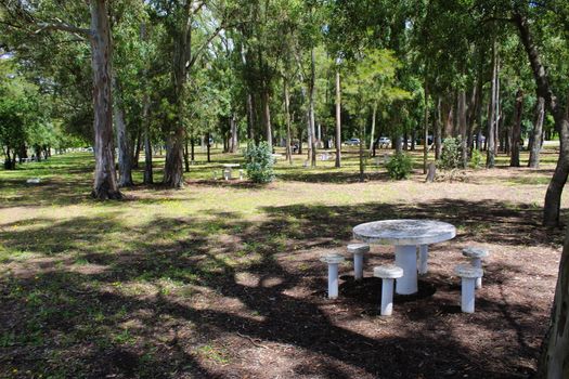 A trip in nature. Park in Beja, Portugal.