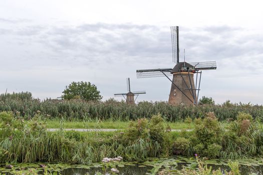 Dutch windmill above the fence of wild grass blown by strong winds during the blue hour, Alblasserdam, Netherlands