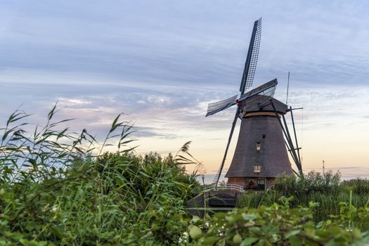 Dutch windmill above the fence of wild grass blown by strong winds 
