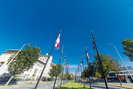 Alignment of flags under a beautiful and sunny blue sky in the International area of The Hague, Netherlands