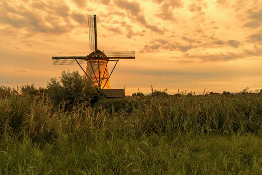 Dutch windmill above the fence of wild grass blown by strong winds during the blue hour, Alblasserdam, Netherlands