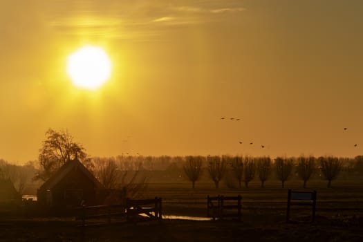 Dutch rural landscape at the early morning sunrise creating silhouettes with the back lit