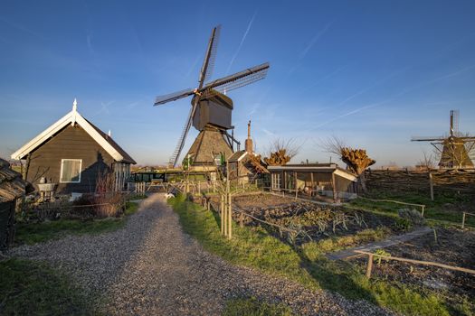 Early sunrise on the windmill garden and backyard with stable and vegetable farming, Alblasserdam, Netherlands