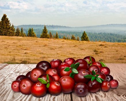 Cranberries with leaves on wooden table against forest landscape. Clipping paths for both cranberries and table