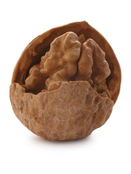 Single cracked walnut (edible seed of tree of Juglans regia). Clipping paths for both nut and shadow, infinite depth of field