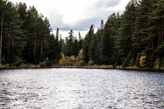 Beautiful panoramic view of big lake in the middle of the forest.