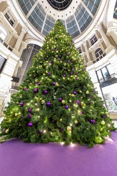 Huge christmas tree in The Hague celebrating the Christmas and the New Year season