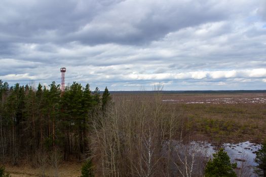 Majestic view tower in swamp in day. Calm and peaceful place for meditation.