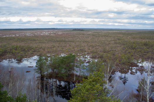 Majestic view tower in swamp in day. Calm and peaceful place for meditation.