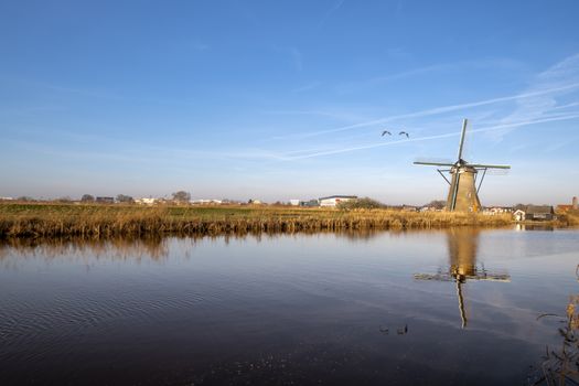 Dutch landscape in the early morning with the windmill reflected on the calm canal at Alblasserdam city near Rotterdam, Netherlands