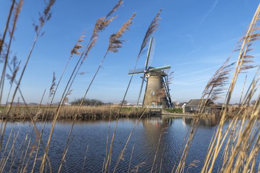 Dutch landscape in the early morning with the windmill reflected on the calm canal at Alblasserdam city near Rotterdam, Netherlands